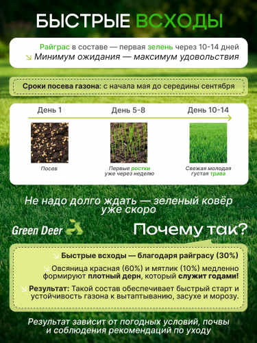 Газон  "Стадион" 10 кг фото 6