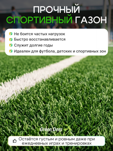 Газон  "Спорт" 10 кг фото 5