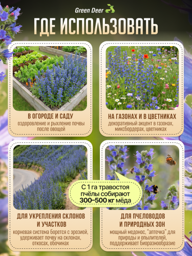 Синяк обыкновенный семена 1 кг фото 8