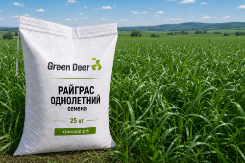 Райграс однолетний семена 25 кг