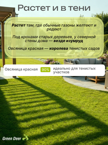 Газон  "Экстра Класс" 5 кг фото 3