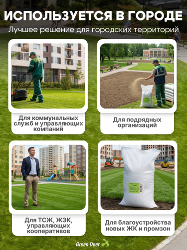 Газон "Город" 25 кг фото 3
