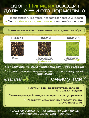 Газон  "Пигмей" 5 кг фото 6