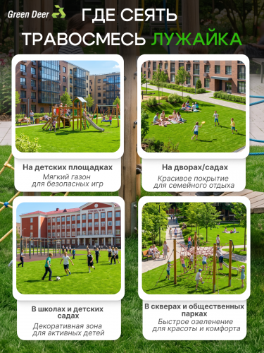 Газон  "Лужайка" 7 кг фото 4