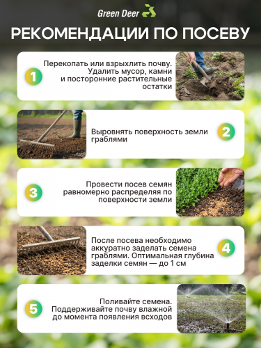 Горчица семена 10 кг фото 5