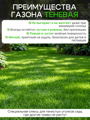 Газон  "Теневая" 10 кг фото 2