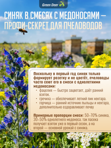 Синяк обыкновенный семена 1 кг фото 6
