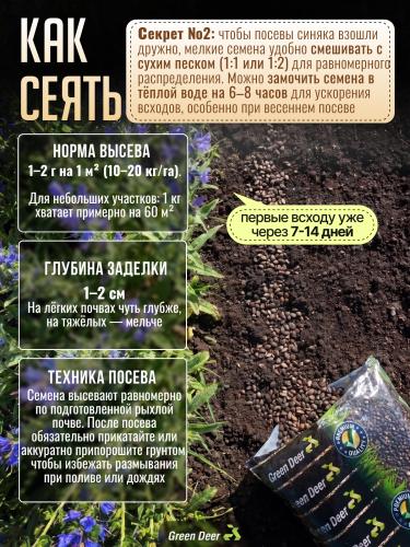 Синяк обыкновенный семена 1 кг фото 4