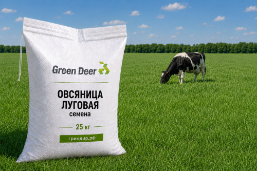 Овсяница луговая семена 25 кг