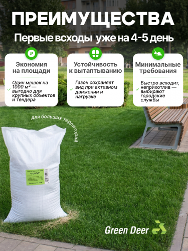 Газон "Город" 25 кг фото 2