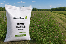 Клевер красный семена 25 кг