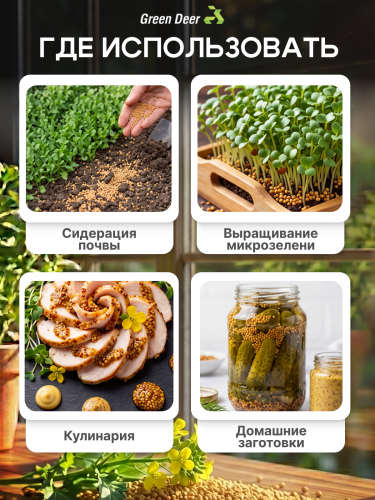 Горчица семена 10 кг фото 3